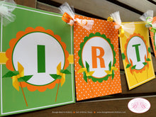 Load image into Gallery viewer, Pinwheel Birthday Party Package Orange Green Yellow Retro Boy Girl Breezy Garden Picnic Outdoor Summer Boogie Bear Invitations Reagan Theme