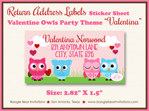 Valentine Owls Birthday Party Invitation Heart Boogie Bear Valentina Theme Paperless Printable Printed