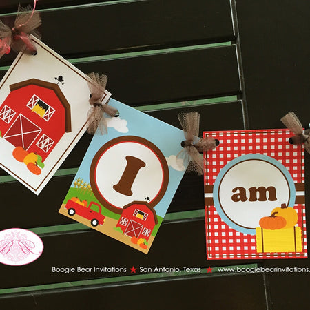 Fall Farm Pumpkin Highchair I am 1 Banner Birthday Party Girl Boy Harvest Country Orange Red Barn 1st Boogie Bear Invitations Donovan Theme