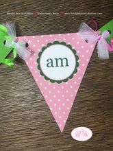 Load image into Gallery viewer, Lucky Charm Pennant I am 1 Banner Birthday Party Highchair Pink Green Shamrock St. Patricks Day 1st 2nd Boogie Bear Invitations Eileen Theme