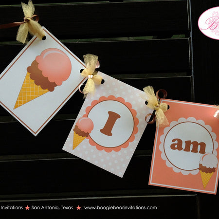 Ice Cream Highchair I am 1 Banner Birthday Girl Retro Pink Dot 50s Soda Shop Parlor Popsicle Swimming Boogie Bear Invitations Rebecca Theme