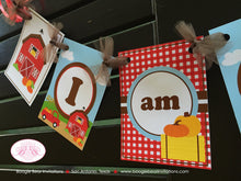 Load image into Gallery viewer, Fall Farm Pumpkin Highchair I am 1 Banner Birthday Party Girl Boy Harvest Country Orange Red Barn 1st Boogie Bear Invitations Donovan Theme