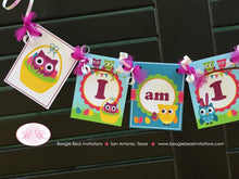 Load image into Gallery viewer, Spring Easter Owls Highchair I am 1 Banner Birthday Party Boy Girl Woodland Forest Pastel Spring Picnic Boogie Bear Invitations Lottie Theme