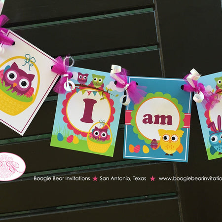 Spring Easter Owls Highchair I am 1 Banner Birthday Party Boy Girl Woodland Forest Pastel Spring Picnic Boogie Bear Invitations Lottie Theme