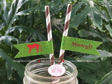 Load image into Gallery viewer, Rainforest Birthday Party Pennant Straws Paper Girl Boy Rain Forest Reptile Amazon Jungle Wild Zoo Red Boogie Bear Invitations Mowgli Theme