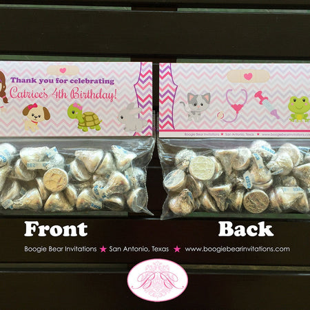 Vet Doctor Girl Birthday Party Treat Bag Toppers Folded Favor Nurse Hospital Pet ER Clinic Purple Pink Boogie Bear Invitations Catrice Theme