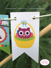 Load image into Gallery viewer, Easter Owls Birthday Party Pennant Cake Banner Topper Girl Boy Spring Egg Hunt Blue Bunny Rabbit Animal Boogie Bear Invitations Lottie Theme