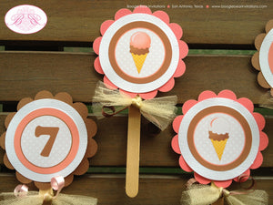 Retro Ice Cream Birthday Party Package Girl Summer Happy Door Banner Sign Popsicle Vintage Retro Sweet Boogie Bear Invitations Rebecca Theme