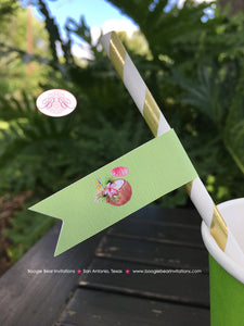 Tropical Paradise Birthday Party Straws Paper Pennant Birthday Flamingo Toucan Pink Green Gold Girl Boogie Bear Invitations Tallulah Theme