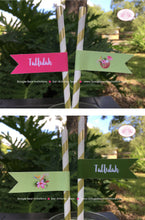 Load image into Gallery viewer, Tropical Paradise Birthday Party Straws Paper Pennant Birthday Flamingo Toucan Pink Green Gold Girl Boogie Bear Invitations Tallulah Theme