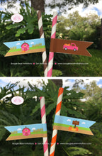 Load image into Gallery viewer, Pink Farm Birthday Party Pennant Straws Paper Beverage Drink Pumpkin Barn Girl Fall Autumn Country Boogie Bear Invitations Susannah Theme