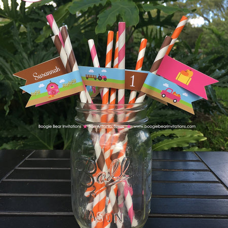 Pink Farm Birthday Party Pennant Straws Paper Beverage Drink Pumpkin Barn Girl Fall Autumn Country Boogie Bear Invitations Susannah Theme