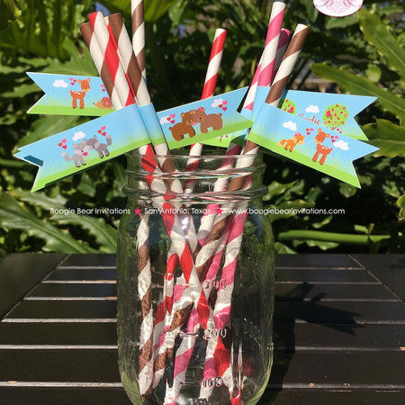 Valentines Day Woodland Party Straws Pennant Paper Birthday Love Boy Girl Red Pink Heart Love Forest Boogie Bear Invitations Amelie Theme