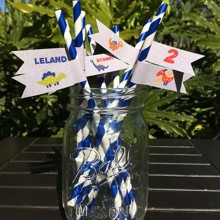 Little Dinosaur Birthday Party Straws Pennant Paper Girl Boy Orange Blue Red Green Jurassic Prehistoric Boogie Bear Invitations Leland Theme