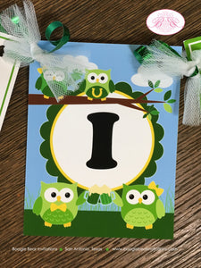 St. Patrick's Day Highchair I am 1 Banner Party Birthday Owls Girl Boy Lucky Green Woodland 1st 2nd 3rd Boogie Bear Invitations Ashlyn Theme