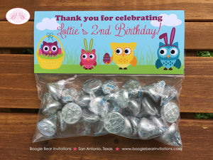 Easter Owls Party Treat Bag Toppers Folded Favor Birthday Girl Boy Spring Egg Forest Animals Pink Blue Boogie Bear Invitations Lottie Theme