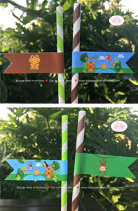 Rain Forest Birthday Party Straws Pennant Paper Girl Boy Rainforest Zoo Animals Wild Jungle Amazon Boogie Bear Invitations Chandler Theme