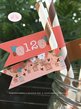 Load image into Gallery viewer, Garden Birds Birthday Party Straws Pennant Paper Girl Coral Teal Birdcage Flowers Cage Forest Rustic Boogie Bear Invitations Coralee Theme