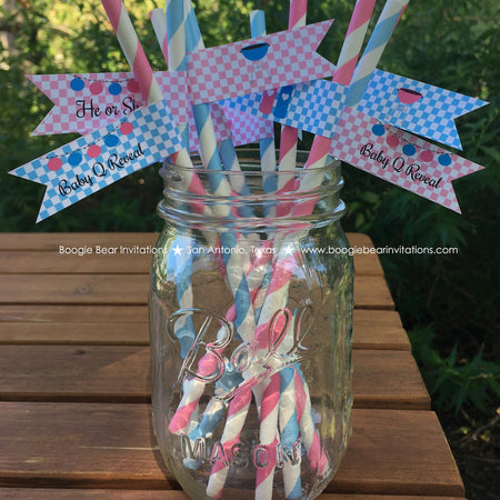 BBQ Reveal Baby Shower Party Straws Pennant Paper Grill Q Pink Blue Boy Girl Barbecue Gingham Picnic Boogie Bear Invitations Shannon Theme