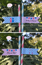 Load image into Gallery viewer, BBQ Reveal Baby Shower Party Straws Pennant Paper Grill Q Pink Blue Boy Girl Barbecue Gingham Picnic Boogie Bear Invitations Shannon Theme