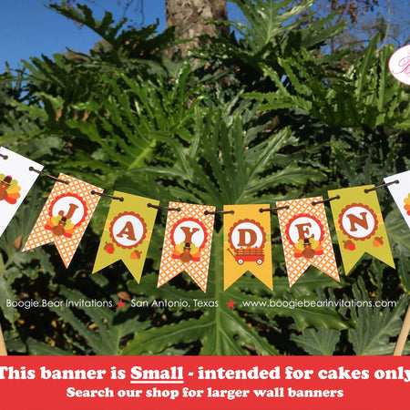 Turkey Party Pennant Cake Banner Topper Birthday Fall Thanksgiving Boy Girl Country Farm Harvest PumpkinBoogie Bear Invitations Jayden Theme