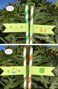 St. Patrick's Day Gnomes Party Pennant Straws Paper Drink Birthday Girl Boy Dryad Lucky 4 Leaf Clover Boogie Bear Invitations Tristan Theme