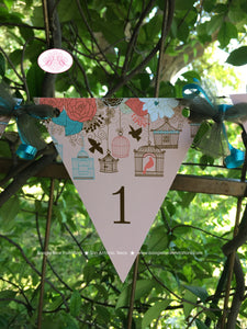 Garden Birds Pennant I am 1 Banner Birthday Party Highchair Girl Birdcage Outdoor Picnic Peach Aqua Boogie Bear Invitations Coralee Theme