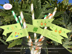 St. Patrick's Day Gnomes Party Pennant Straws Paper Drink Birthday Girl Boy Dryad Lucky 4 Leaf Clover Boogie Bear Invitations Tristan Theme