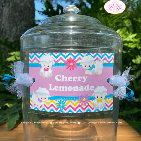 Spring Lambs Party Beverage Card Wrap Drink Label Sign Birthday Sheep Girl Easter Flower Picnic Garden Boogie Bear Invitations Rachel Theme