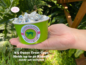 Rainforest Birthday Party Treat Cups Candy Rain Forest Reptile Pink Green Bird Monkey Frog Jungle Girl Boogie Bear Invitations Sophia Theme