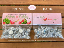 Load image into Gallery viewer, Red Watermelon Party Treat Bag Toppers Favor Tent Birthday Girl Boy One In a Melon Two Sweet Summer Boogie Bear Invitations Marlene Theme