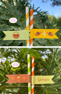 Autumn Girl Party Pennant Straws Paper Drink Birthday Harvest Fall Pumpkin Farm Apple Woodland Animals Boogie Bear Invitations Georgia Theme