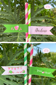 Pink Watermelon Birthday Party Straws Paper Pennant Birthday Girl One In Melon Two Sweet Summer Green Boogie Bear Invitations Darlene Theme