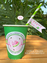 Load image into Gallery viewer, Pink Watermelon Party Beverage Cups Paper Drink Birthday Girl One In Melon Two Sweet Summer Farm Green Boogie Bear Invitations Darlene Theme