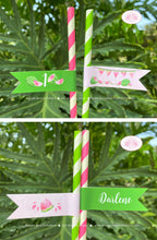 Load image into Gallery viewer, Pink Watermelon Birthday Party Straws Paper Pennant Birthday Girl One In Melon Two Sweet Summer Green Boogie Bear Invitations Darlene Theme
