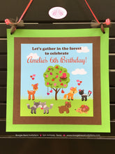 Load image into Gallery viewer, Valentine&#39;s Day Birthday Party Package Woodland Animals Forest Creatures Bear Skunk Deer Fox Bird Tree Boogie Bear Invitations Amelie Theme