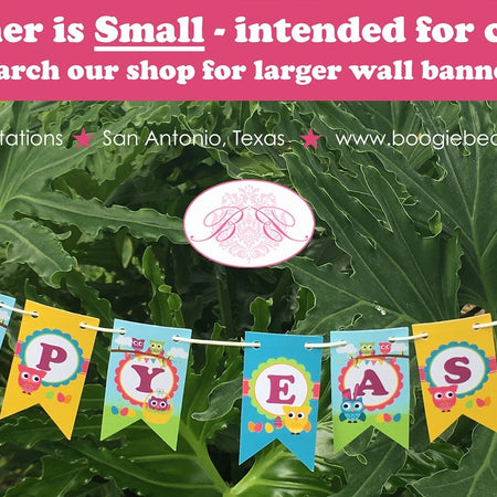 Easter Owls Birthday Party Pennant Cake Banner Topper Girl Boy Spring Egg Hunt Blue Bunny Rabbit Animal Boogie Bear Invitations Lottie Theme