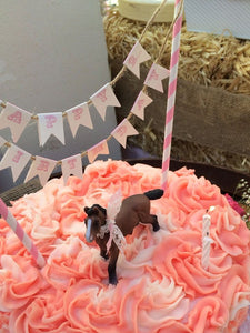 Pink Cowgirl Mini Cake Pennant Banner Topper Farm Stripe Wild West Cow Girl Farm Barn Country Western Boogie Bear Invitations Olivia Theme