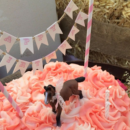 Pink Cowgirl Mini Cake Pennant Banner Topper Farm Stripe Wild West Cow Girl Farm Barn Country Western Boogie Bear Invitations Olivia Theme