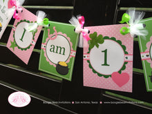 Load image into Gallery viewer, Lucky Charm Highchair I am 1 Banner Birthday Party Shamrock Pink Dot Heart Star Green Shamrock 1st Boogie Bear Invitations Eileen Theme
