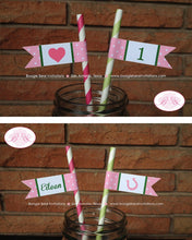 Load image into Gallery viewer, Lucky Charm Birthday Party Paper Straws Pennant Drink St. Patrick&#39;s Day Girl Pink Green Clover Shamrock Boogie Bear Invitations Eileen Theme