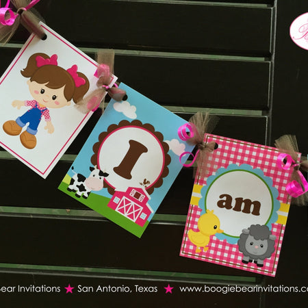 Pink Farm Highchair I am 1 Banner Birthday Party Animals Petting Zoo Girl Cow Pig Sheep Duck Barn 1st Boogie Bear Invitations Shirley Theme