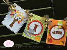 Load image into Gallery viewer, Fall Woodland Animals Highchair I am 1 Banner Birthday Party Squirrel Fox Forest Pumpkin Boy Girl Boogie Bear Invitations Autumn Rae Theme